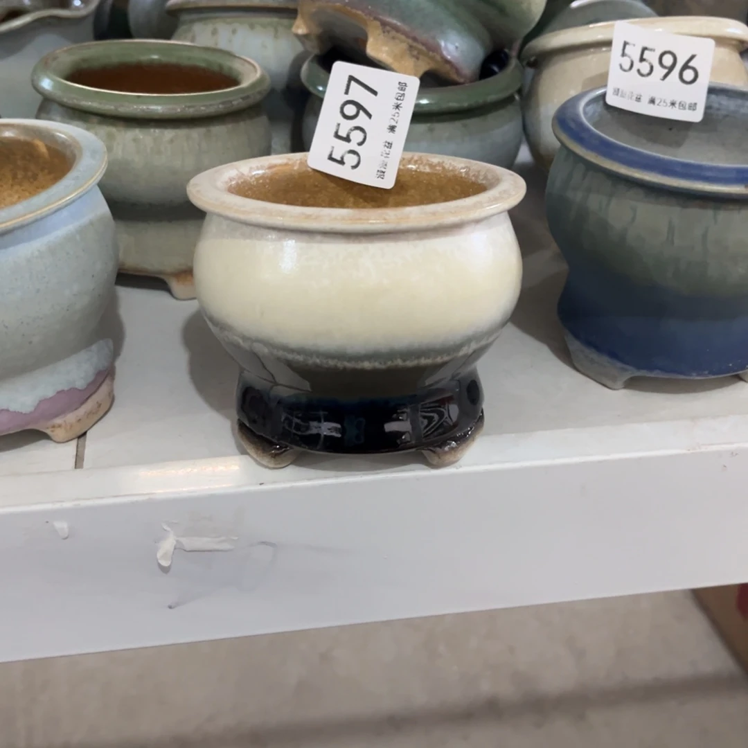 5597 内景德镇手工制作7.8