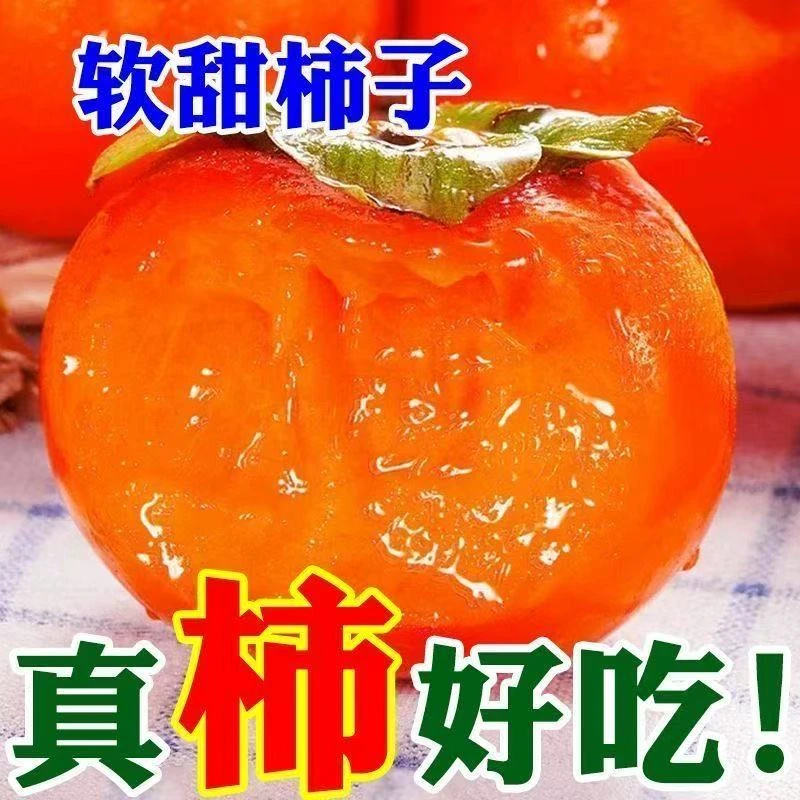 【宋姐专属】山西流心火晶柿子甜蜜可口纯甜无丝