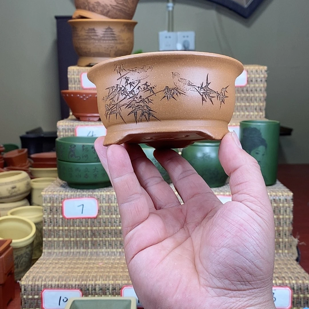 紫砂花盆我在等一场