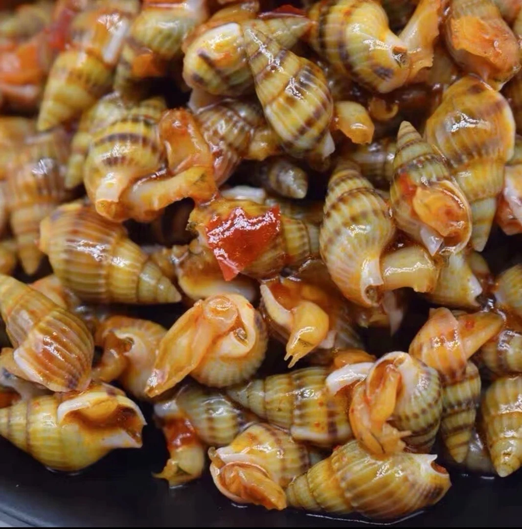 辣炒海锥海螺丝250g每罐  顺丰包邮冷冻即食鲜活制作下酒神器