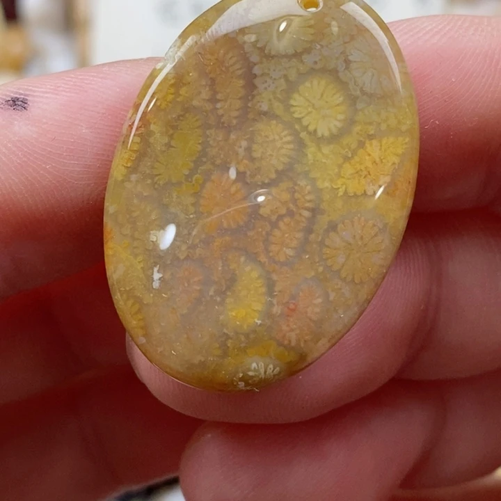 颈饰未镶嵌硅化珊瑚（珊瑚玉）有瑕 小