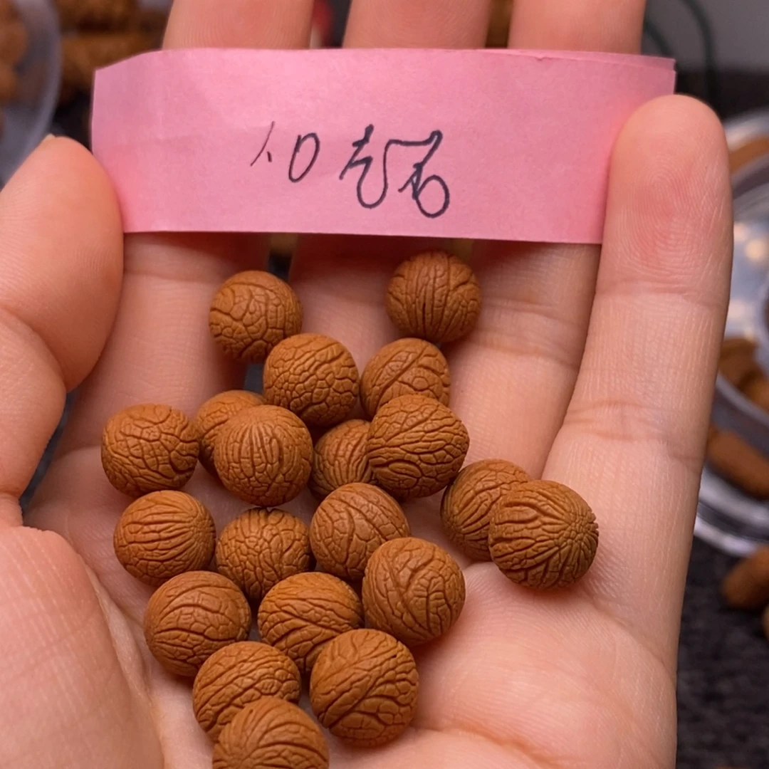秦岭山脉龙纹桃核