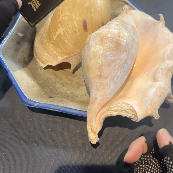 爱***钱瓷片拾六家的瓷器瓷器