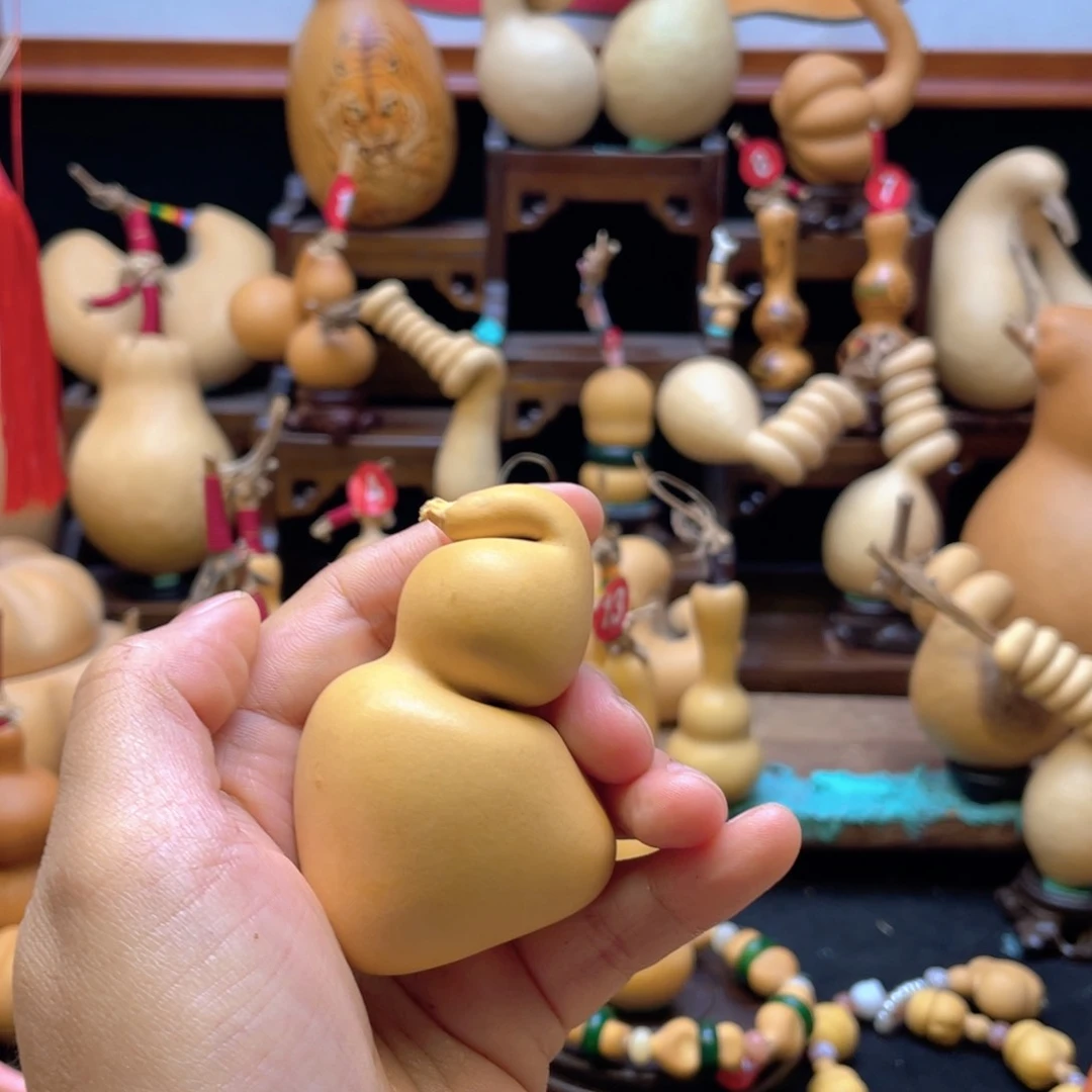 ?**?大自然的秘密第十一节的