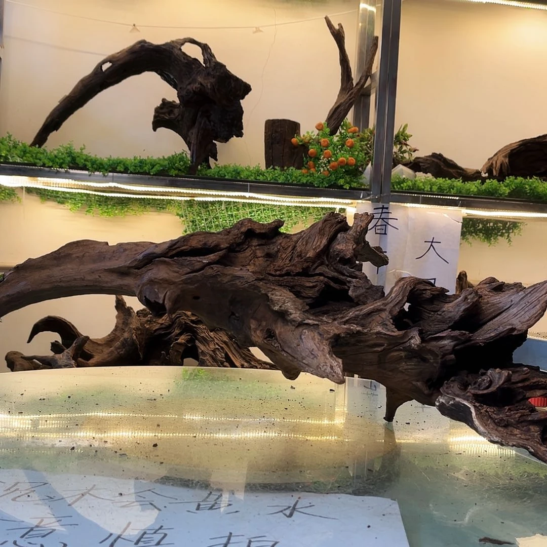 柚木沉木鱼缸造景