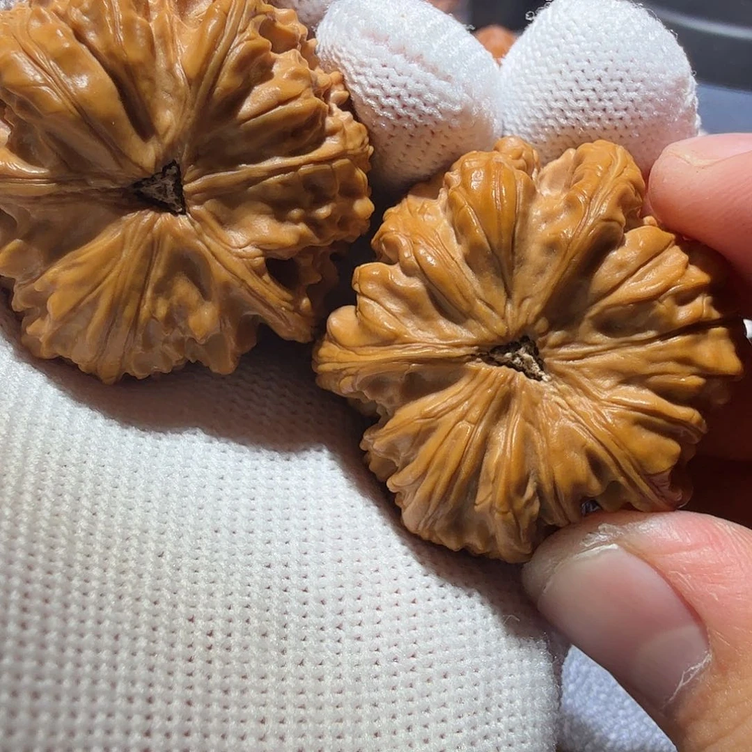 文玩核桃把件御龙正奔