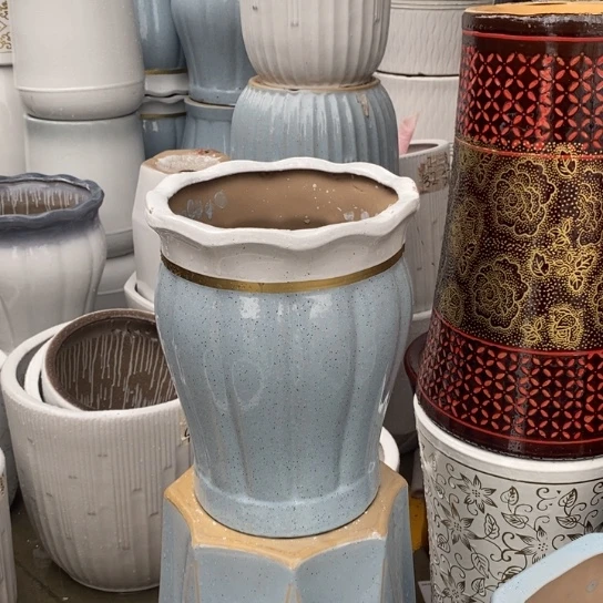 花口蓝南瓜中口25高32