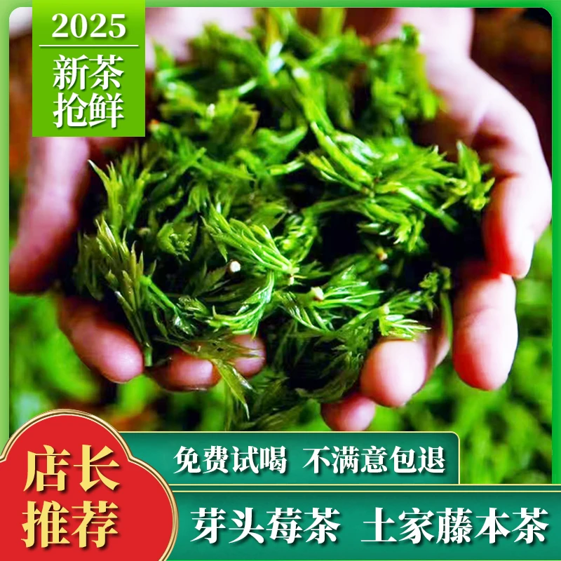 古酉溪GUYOUXI莓茶 2025新茶藤茶 湘西高山永顺芽尖莓茶