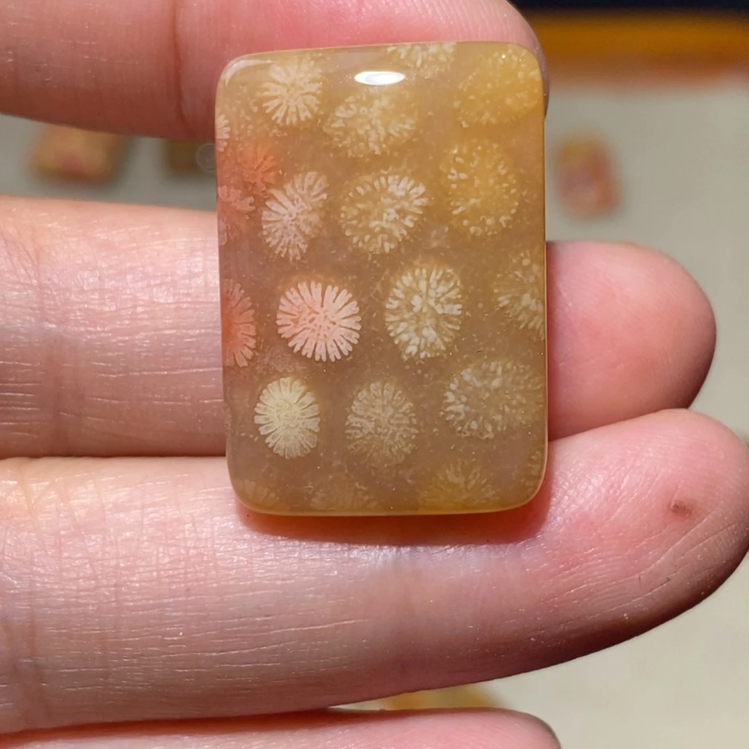 【闪购商品】硅化玉颈饰未镶嵌