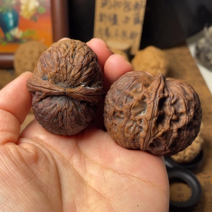 云南野生铁核桃编号5