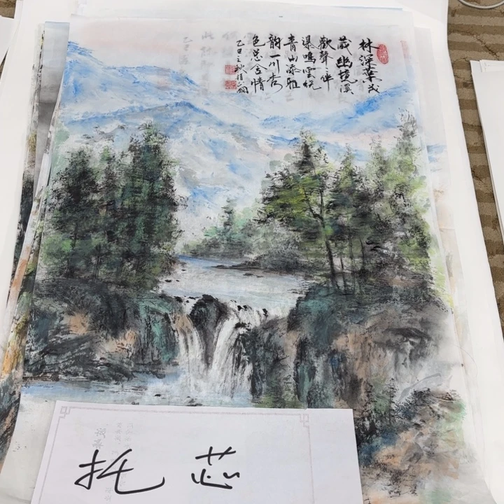 一***雨国画花鸟的翅膀是由两只鸟
