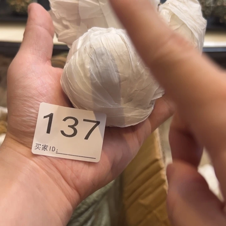 胖***院兜星球仙人球137号球