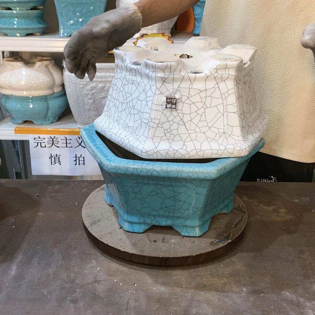 勝****牙花盆花盆里的小