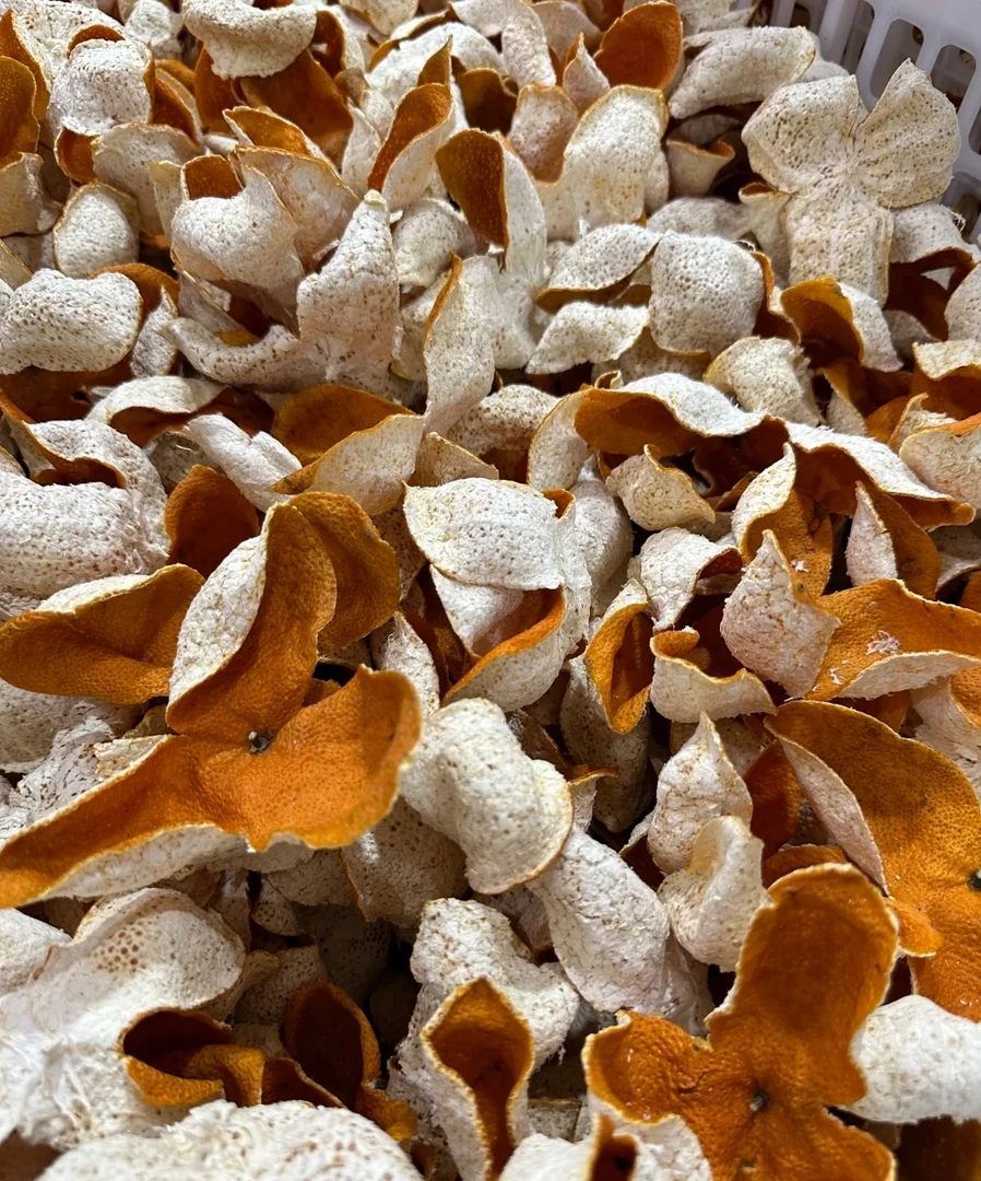 【断皮福利只有三单】2024年天马圈枝大红断皮广东特产8年老树皮