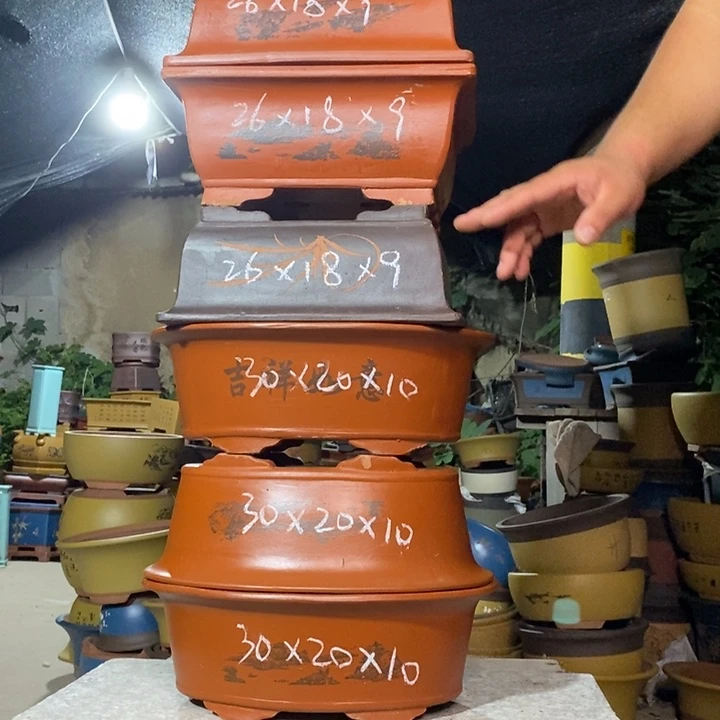 紫砂紫砂紫砂紫砂