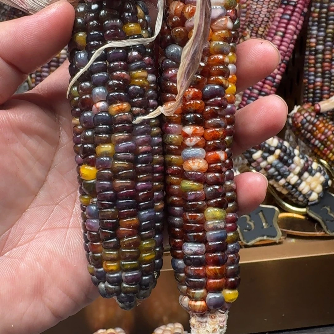 那***谁柏香籽/百香籽吊坠