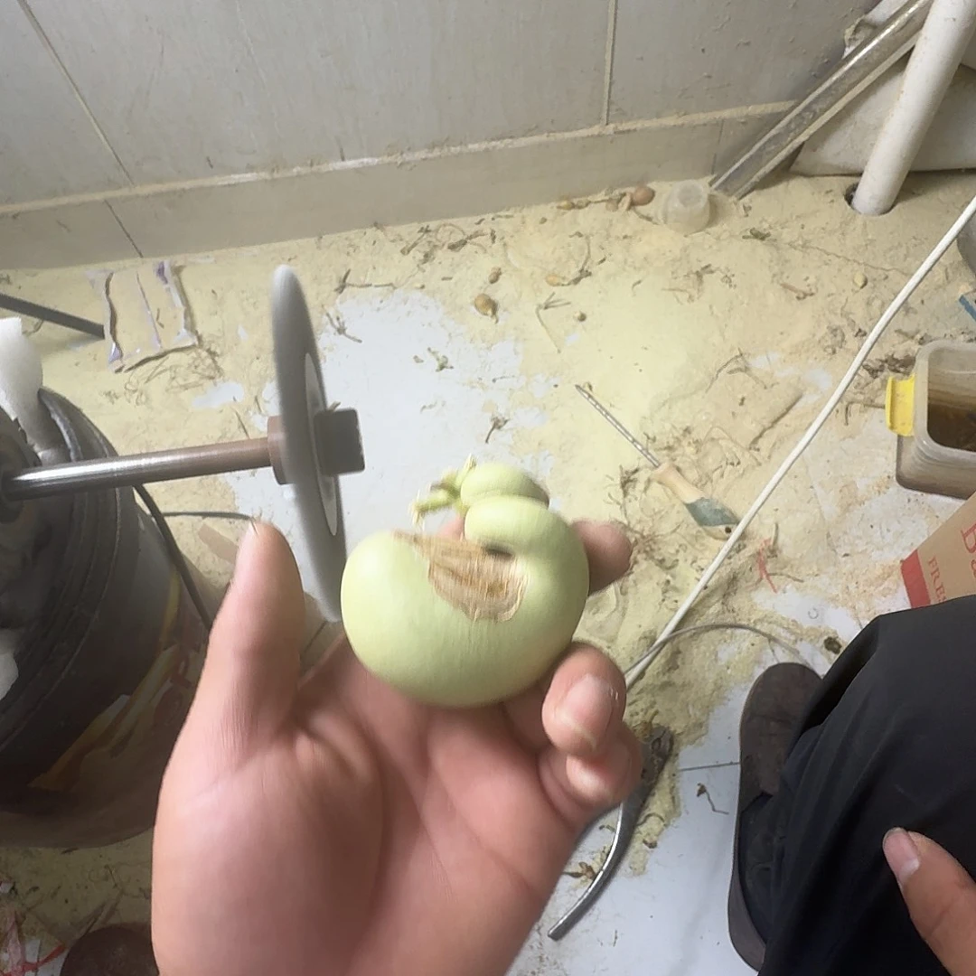 ****来木葫芦里也放满肉里啦哦