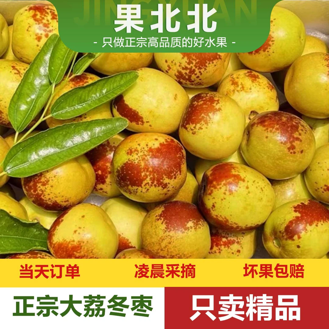 果北北【酥脆香甜】京东/顺丰正宗陕西大荔冰糖冬枣脆甜自然成熟