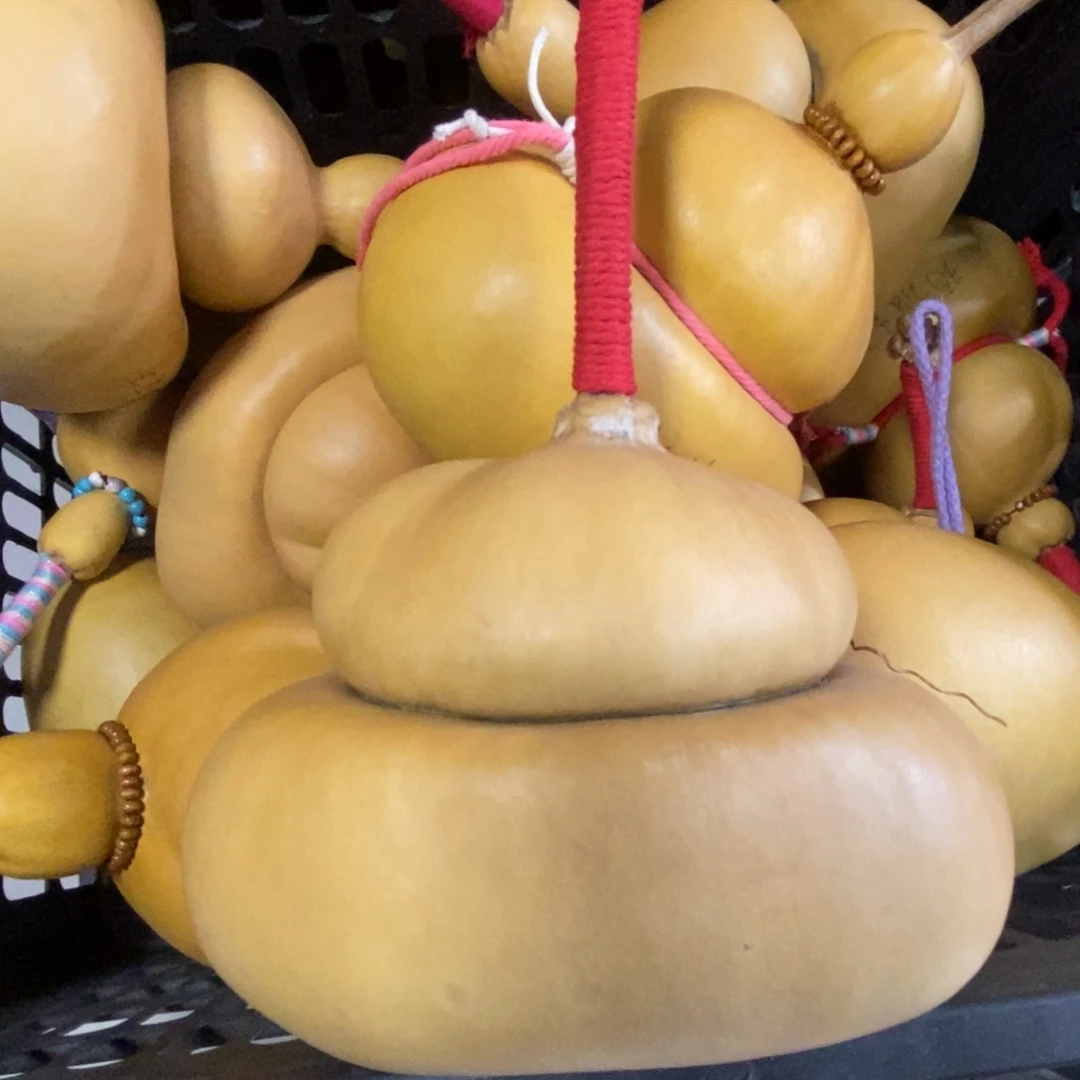 豆***儿直播间钱袋子自娱自乐