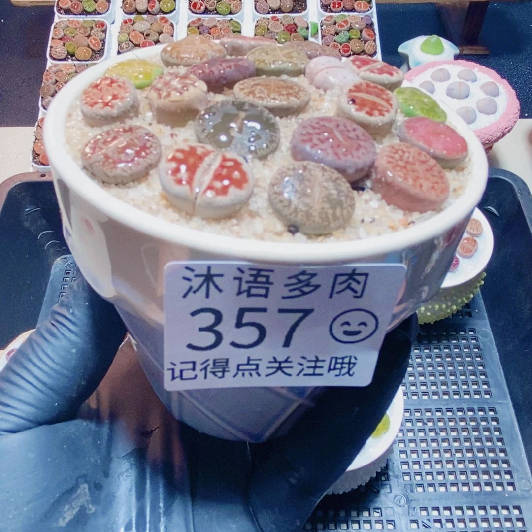 一物一拍 所见即所得 357