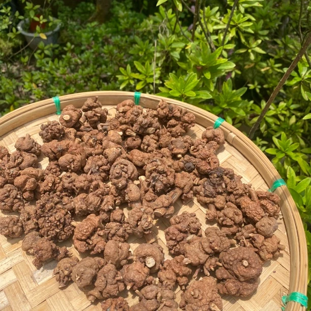 【W土特产】消-瘤-果净含量250g-1000g