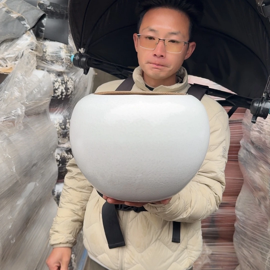 紫砂花盆口22高23（一个球白色大号肚30