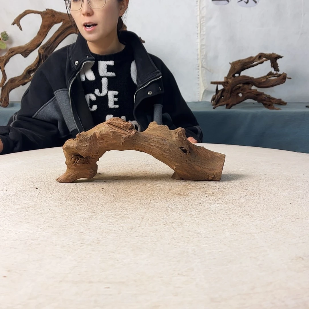 沉木造景爬宠造景