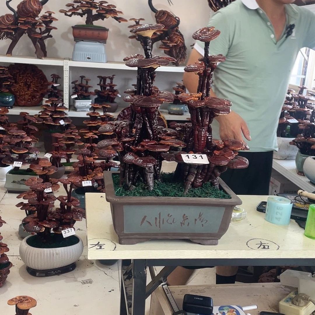 无花朵131号88888