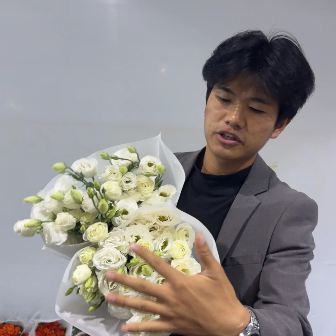 白桔梗1200克包邮价秒杀