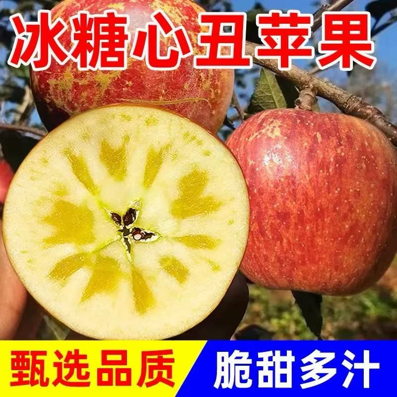 正宗昭通丑苹果脆甜现摘新鲜【多仓发货】