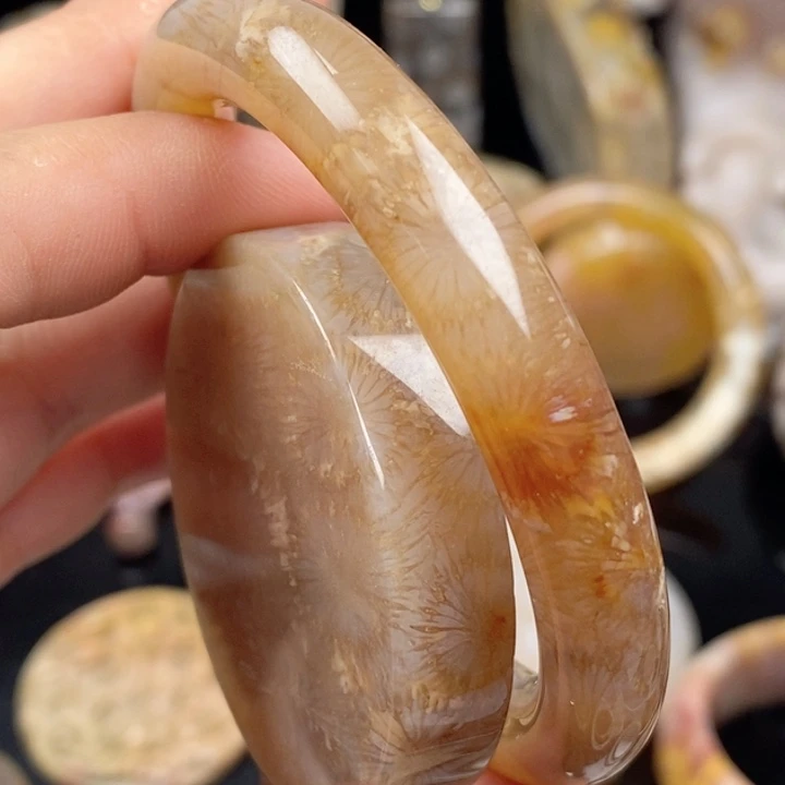 迷***逊硅化玉未镶嵌颈饰