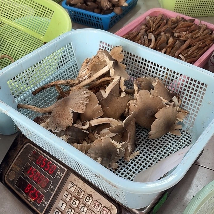 一***三南华……………………………………中国大陆