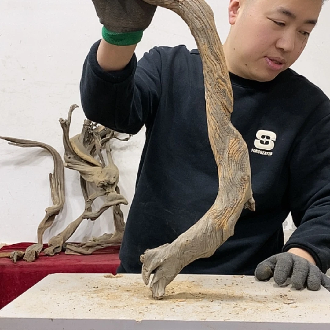 【闪购商品】柏木橡***你我们都是好孩子