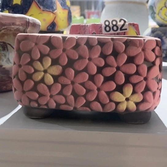 多肉植物花盆花盆