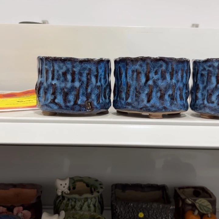 飞***飞内口9.5高9左右，2个