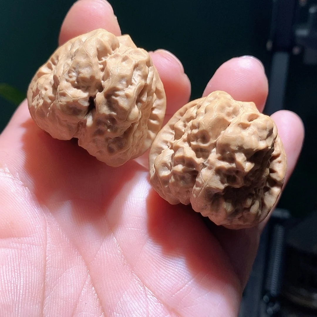 把件文玩核桃42肚蛤蟆头