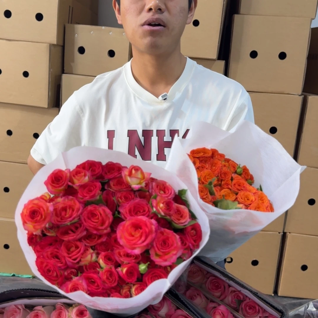 多头盲盒3扎包邮价秒杀