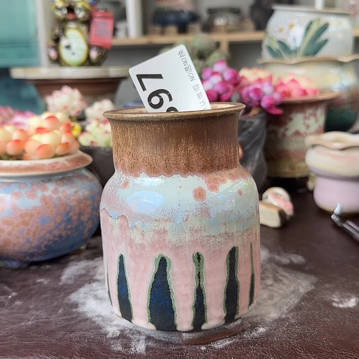 重庆小燕子欢迎大家897