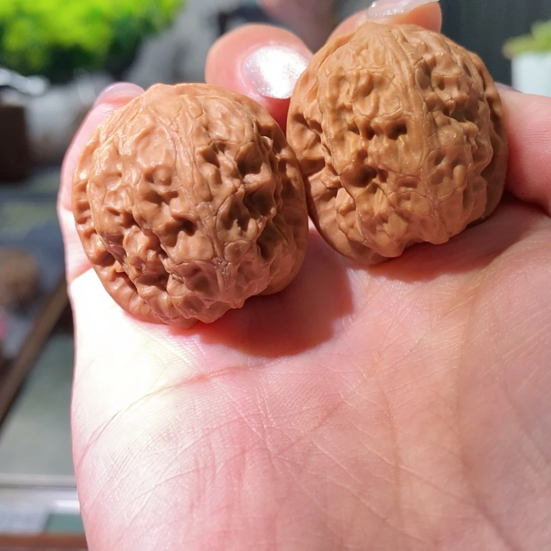 文玩核桃把件夜***章野狼32 S