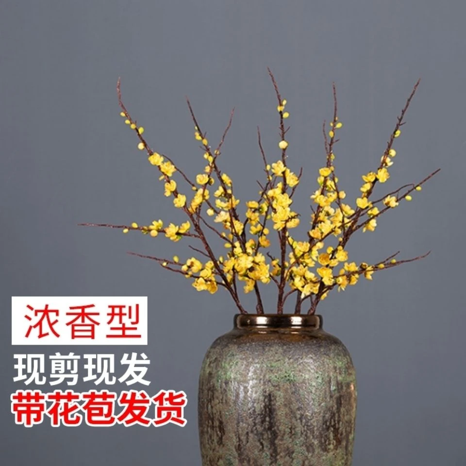 腊梅鲜切花水培带花苞浓香型耐寒遇水开花年宵花卉