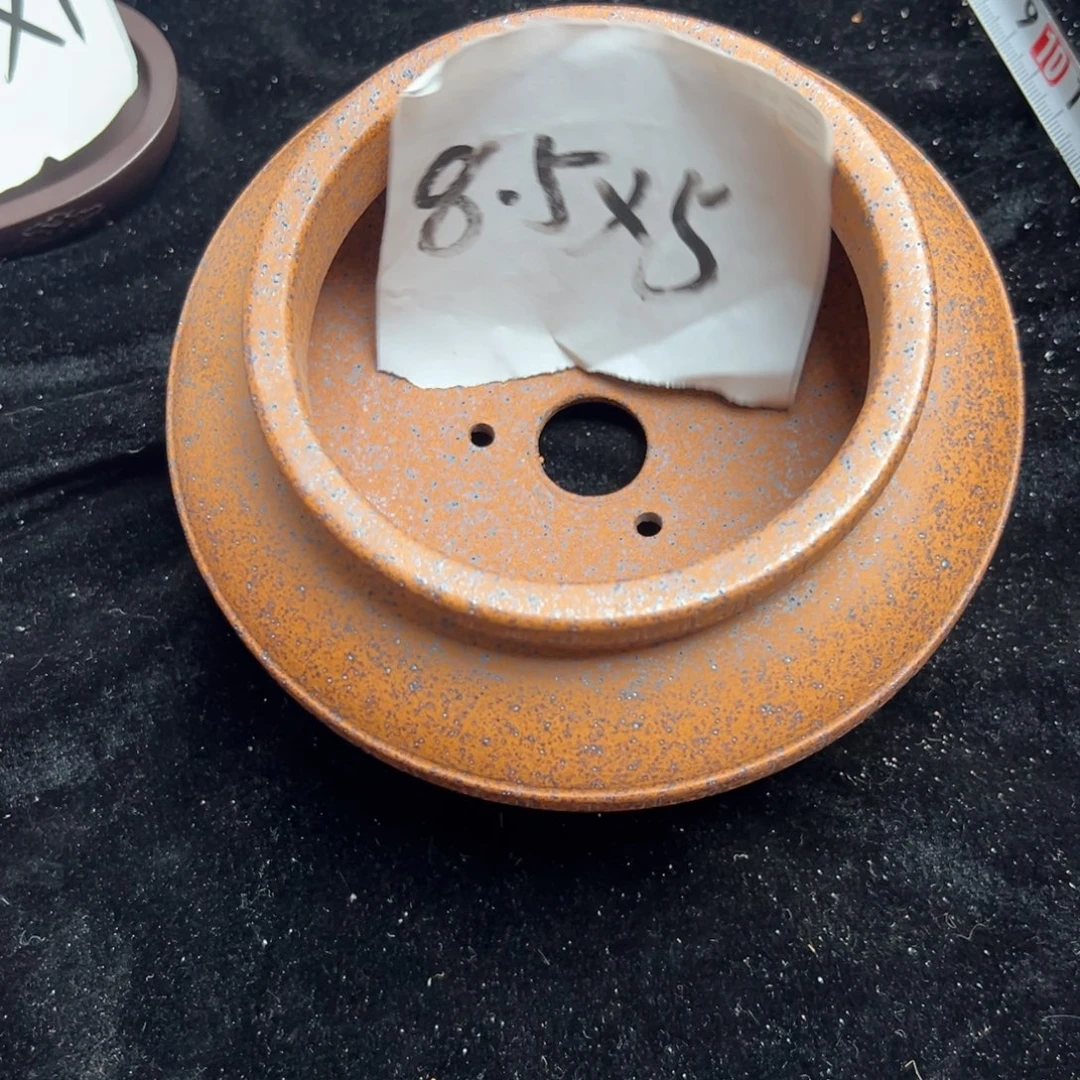 wwwwwwww娥娥薇薇