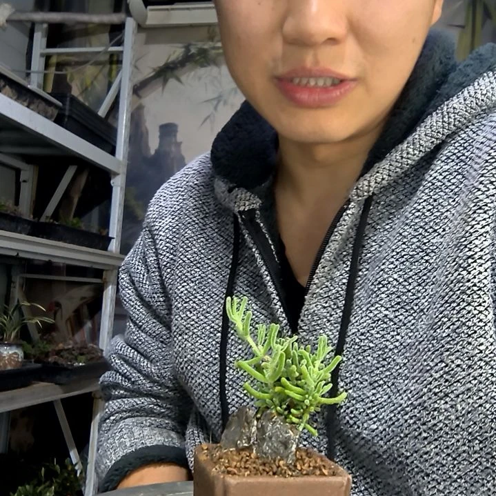 钞***栗中青园艺一物一拍花201