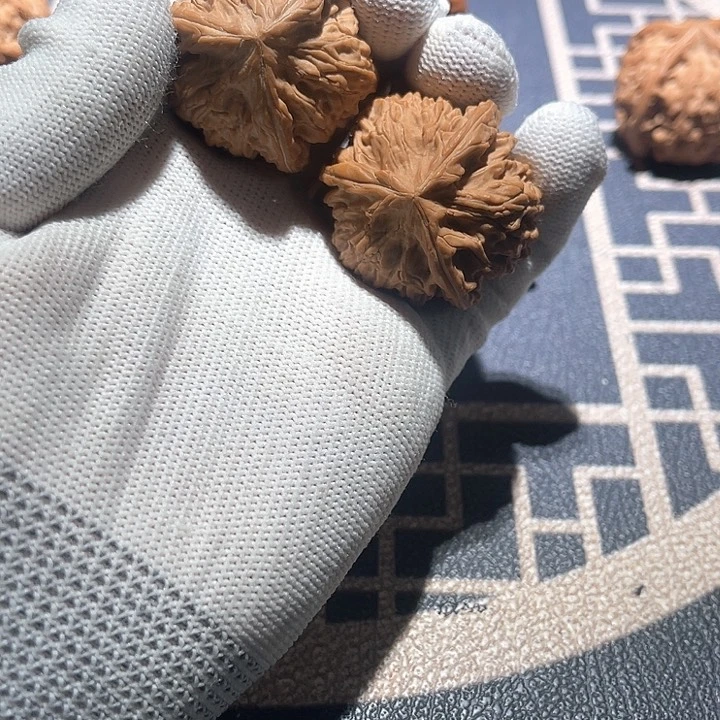 文玩核桃吊坠蒲****)御龙正奔