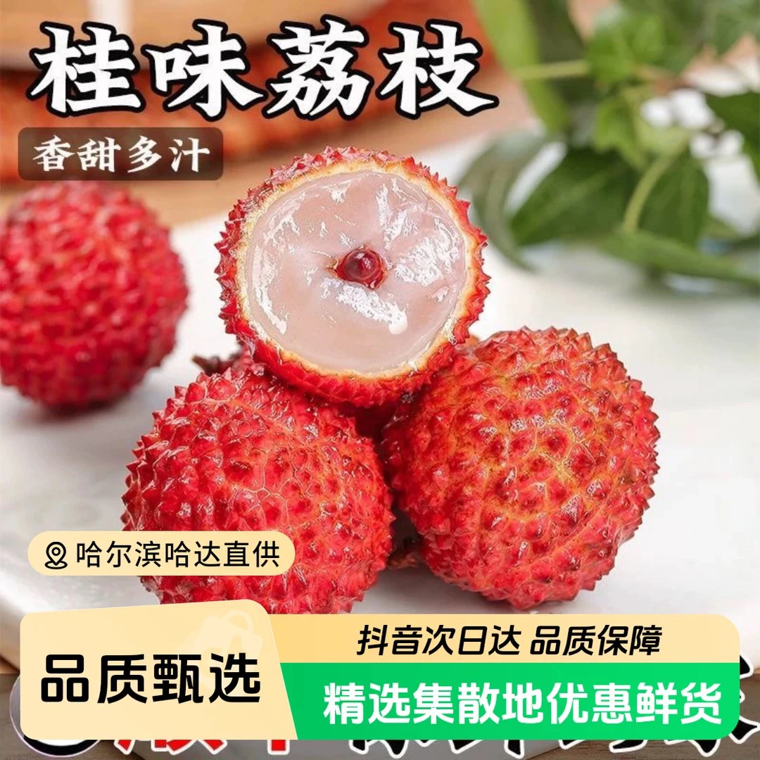 《福利款》荔枝 增城桂味荔枝产地直达 顺丰包邮