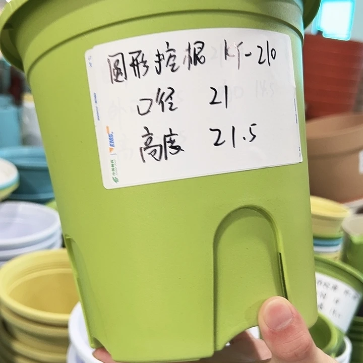 正品圆控口21高21果绿无托8只