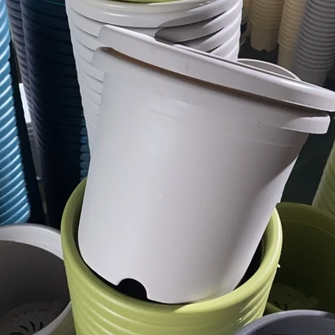 树脂特价5号6个无托灰白