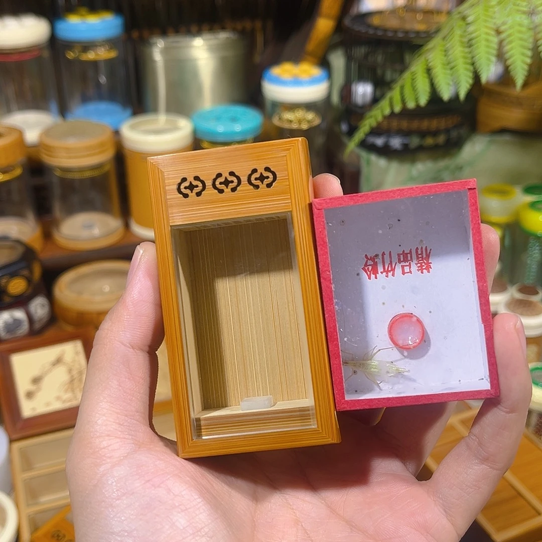 蟋蟀老竹竹蛉盒+竹蛉