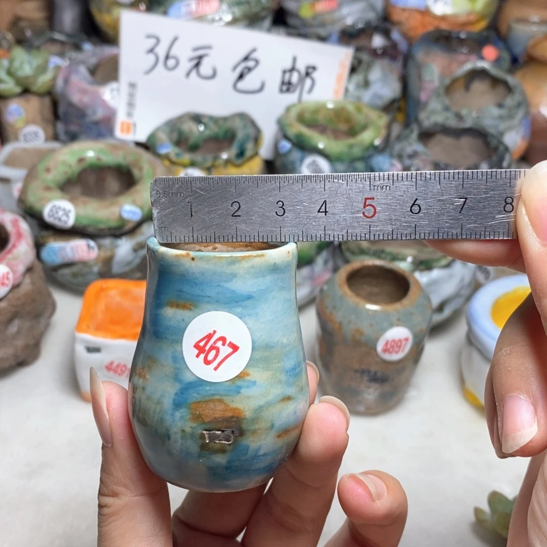 拍5送一个小礼物