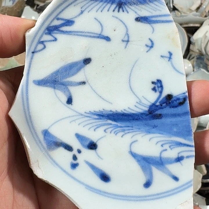 瓷片瓷片标本，顺丰包邮