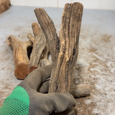 大果紫檀（缅甸花梨）秋****9